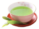 お茶畑の写真