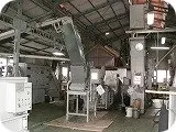 茶工場の写真